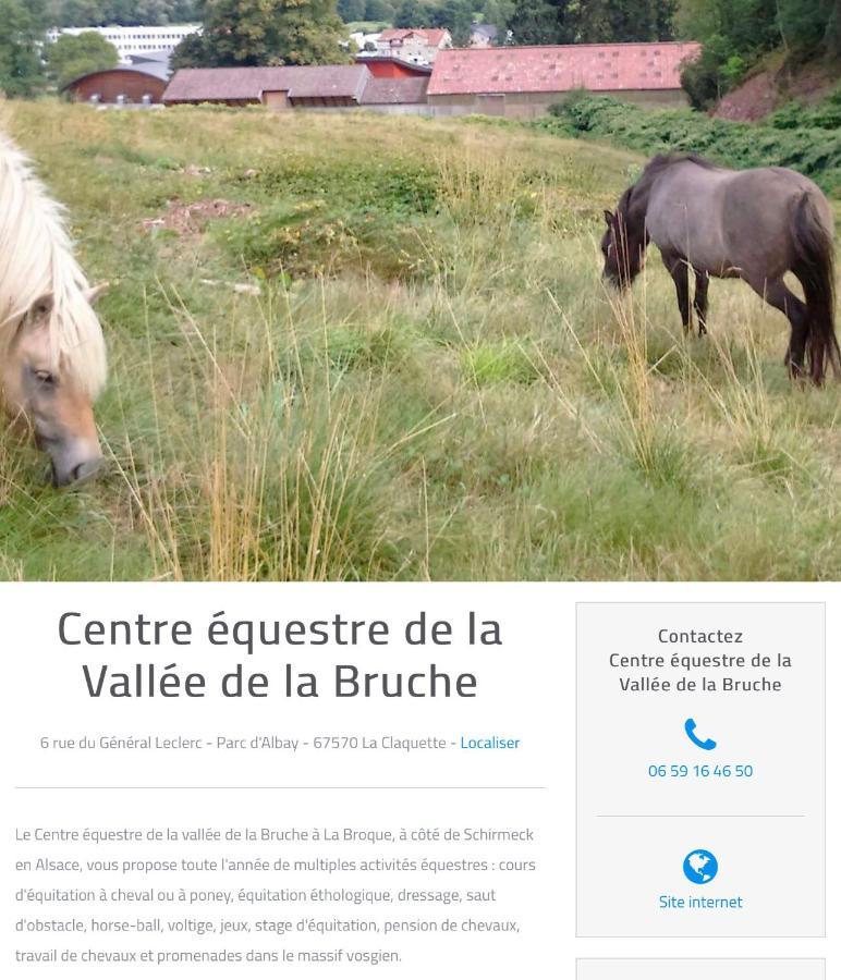 Le gîte du chateau dans le centre de schirmeck Extérieur photo