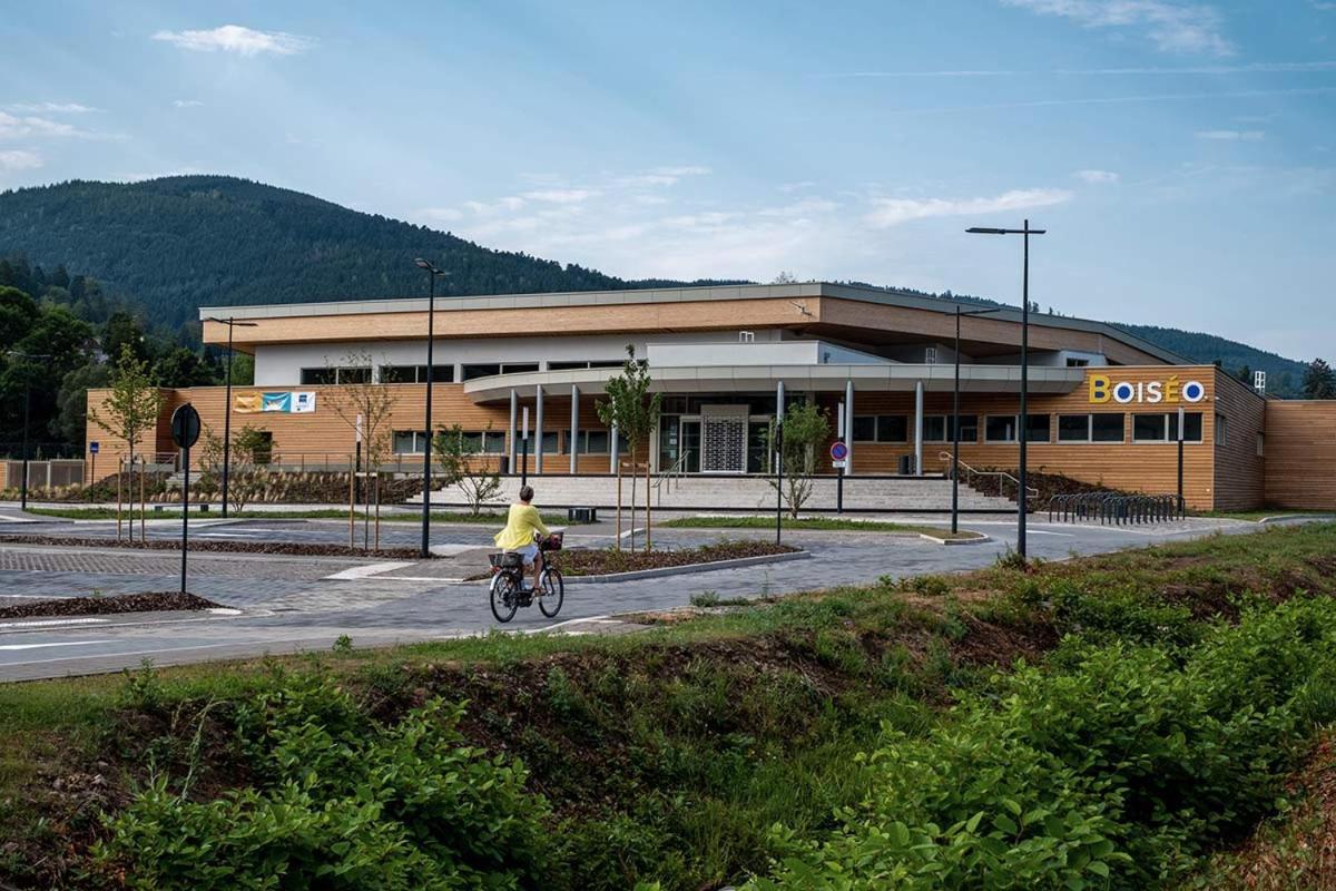 Le gîte du chateau dans le centre de schirmeck Extérieur photo
