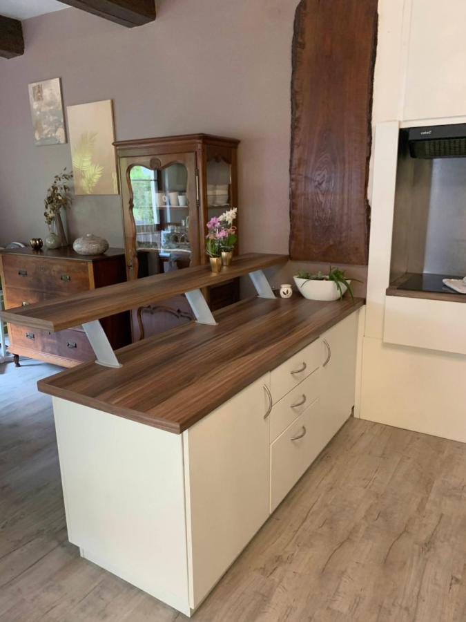 Le gîte du chateau dans le centre de schirmeck Extérieur photo